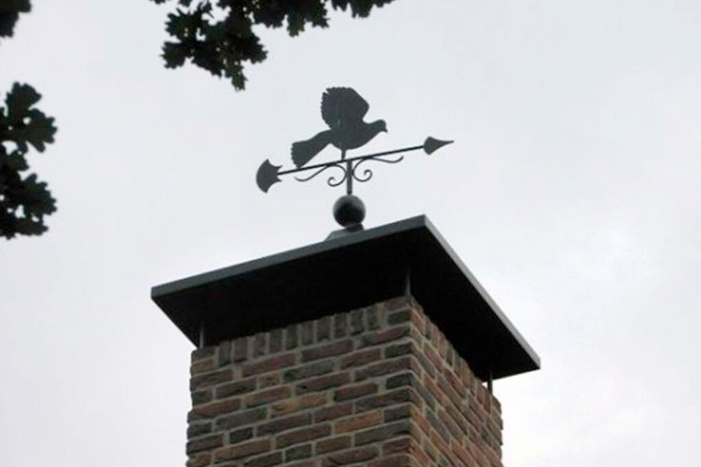 Schoorsteenkap kopen